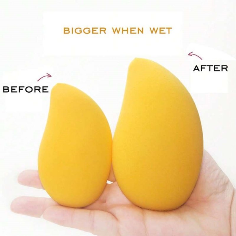 12/2 pçs forma de manga esponj - Beauty Makeup Blender avaliação e preço